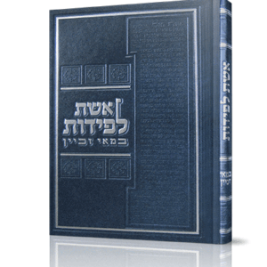 אשת-לפידות-הדמיה