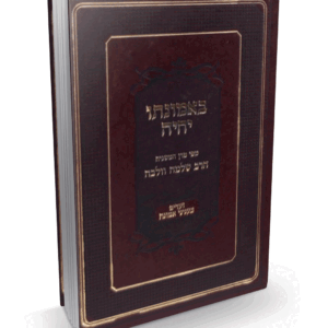 באמונתו-יחיה-הדמיה