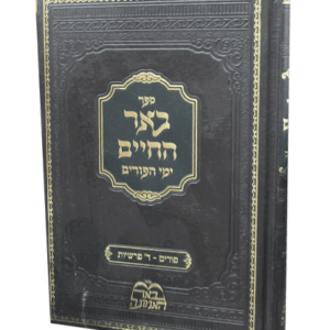 באר-החיים-הדמיה