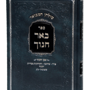 באר-שידוכין-הדמיה