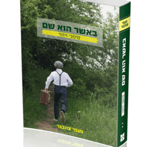 באשר-2-הדמיה