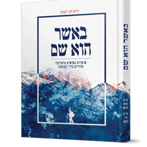 באשר-הוא-שם-הדמיה