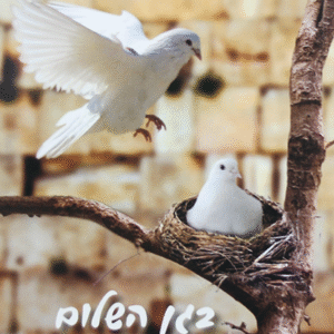 בגן-השלום