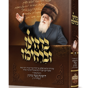 בדחילו-וברחימו-הישועות-משה-מויזניץ-1