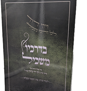 בדרכיו משכיל - לימוד תורה