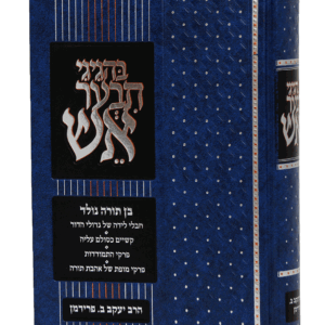 בהגיגי-הדמיה