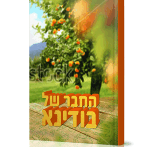 בודינא-הדמיה