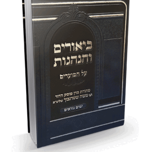 ביאורים-והנהגות-הדמיה