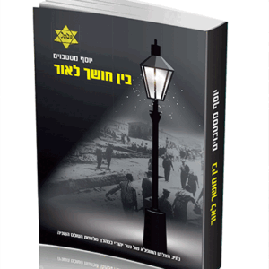 בין-חושך-הדמיה