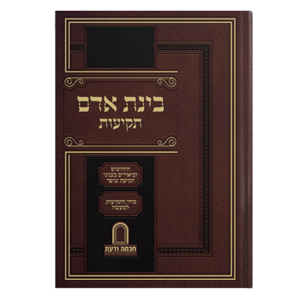 בינת-האדם-הדמיה