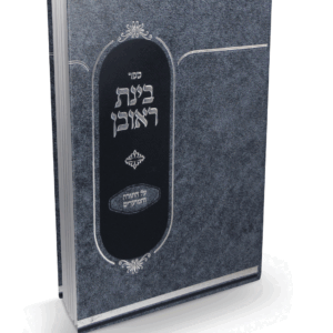 בינת-ראובן-הדמיה