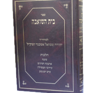 בית-השואבה-הדמיה