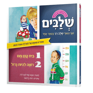 בית-נילון-מבצע-הדמיה