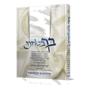 בך-בטחנו-הדמיה