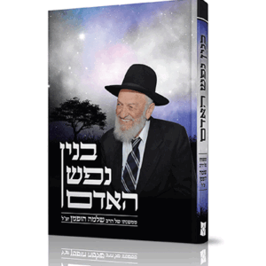 בנין-נפש-הדמיה