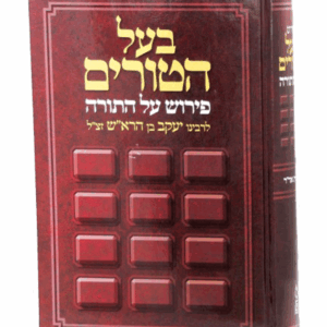 בעל-הטורים-כא-הדמיה