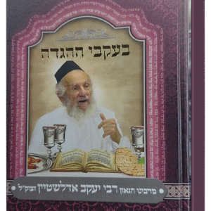 בעקבי-ההגדה-הדמיה