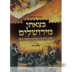 בצאתי-מבצע-הדמיה