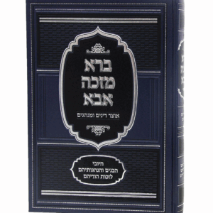 ברא-מזכה-הדמיה