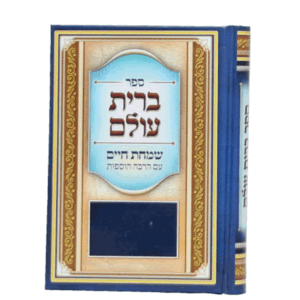 ברית-עולם-הדמיה