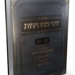 גנזי-החסידות-הדמיה