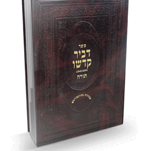 דביר-שמות-הדמיה