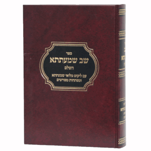 דזימי-שמעתתא-הדמיה