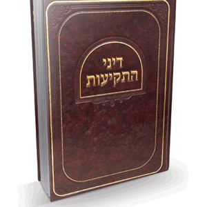 דיני-התקיעות-הדמיה