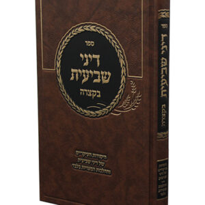 דיני-שביעית-2