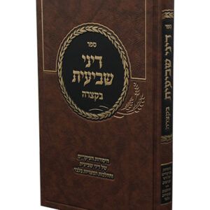 דיני-שביעית-2