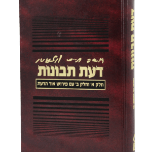 דעת-תבונות-הדמיה