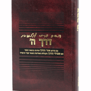 דרך-ה-הדמיה