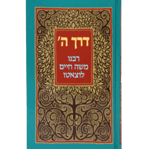 דרך-השם-הדמיה