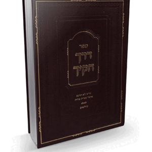 דרך-חוקיך-הדמיה