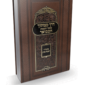 דרך-מצותיך-הדמיה