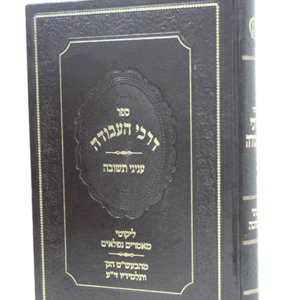 דרכי-התשובה-הדמיה