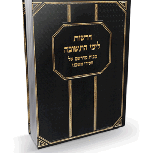 דרשות-לימי-הדמיה