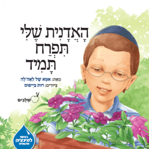האדנית-נילון-מבצע