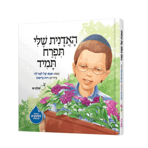 האדנית-נילון-מבצע-הדמיה