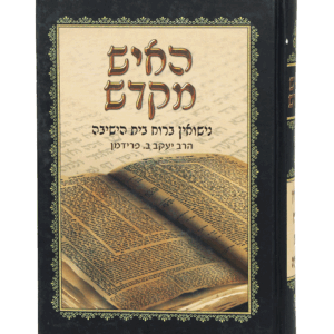 האיש-מקדש-הדמיה