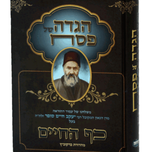 הגדה-כף-הדמיה