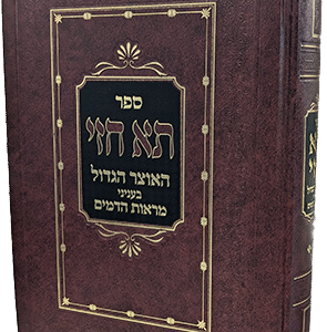 הגדה-תא-חזי