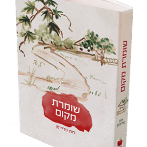 הדמיה-23