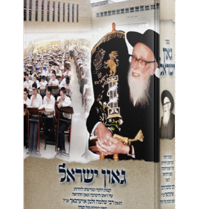 הדמיה-גאון-2