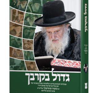 הדמיה-גדול-בקרבך-שטרנבוך