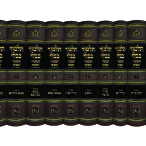 הדמיה-חתנים-scaled