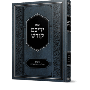 הדמיה-ידיכם-קודש