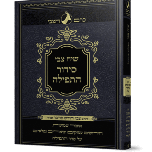 הדמיה-שיח-צבי-סידור-תפילה