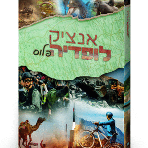 הדמייה-גד-1000