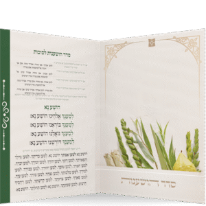 הושענות-הדמיה